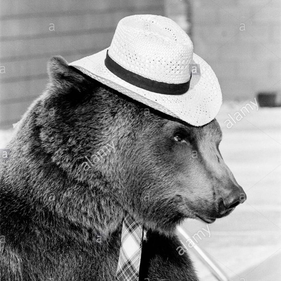 animalslikeyou